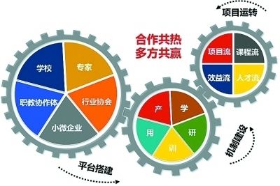 肉碱减肥的机制和作用