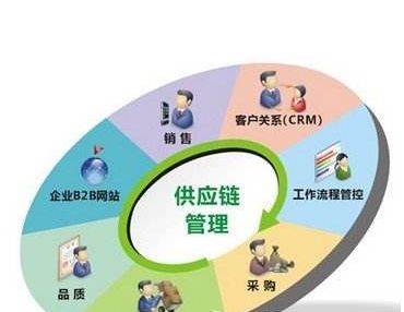 如何进行科学有效的减肥